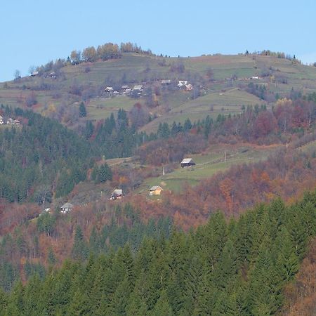 Kings Valley - Sunny Botesti Cîmpeni Esterno foto