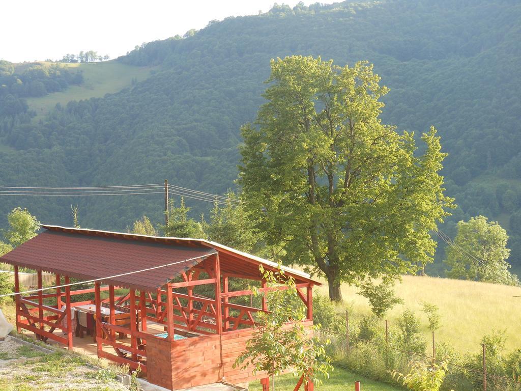 Kings Valley - Sunny Botesti Cîmpeni Esterno foto