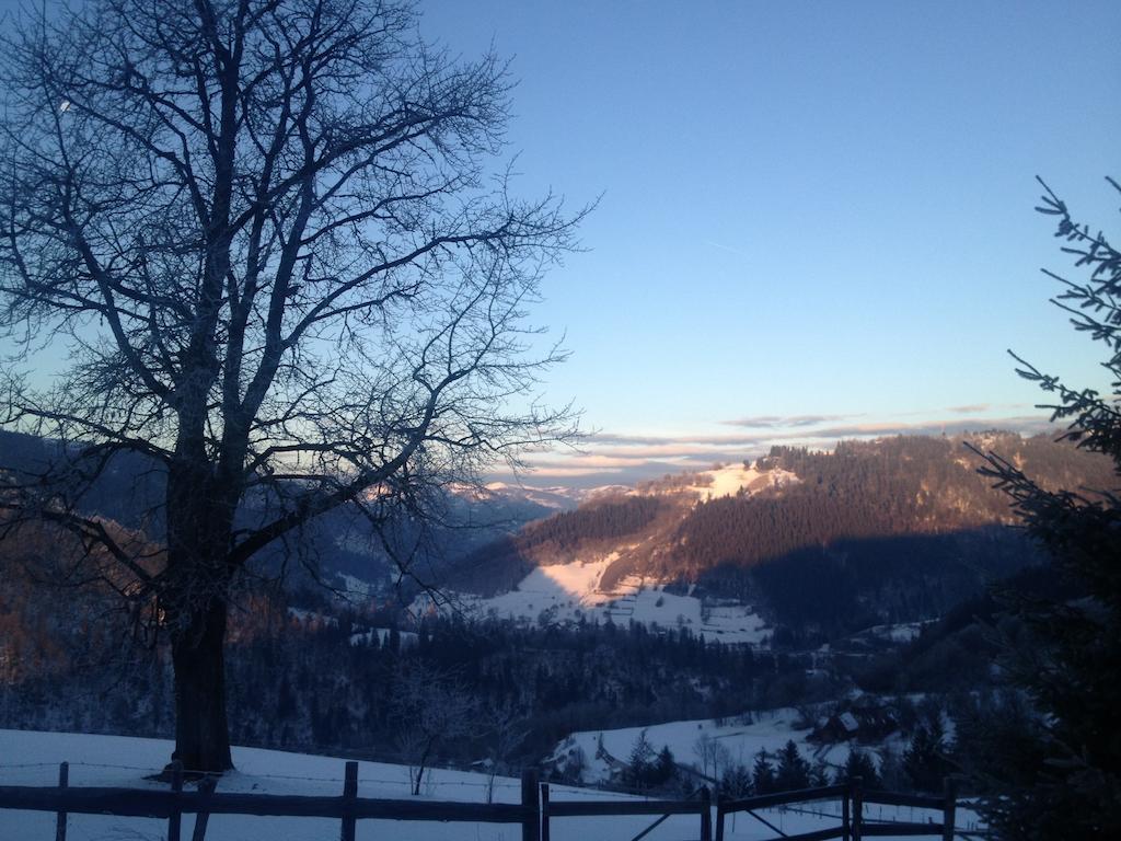 Kings Valley - Sunny Botesti Cîmpeni Esterno foto