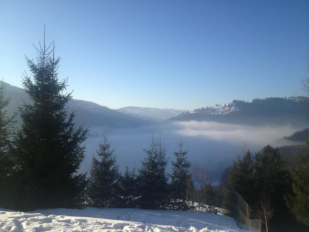 Kings Valley - Sunny Botesti Cîmpeni Esterno foto