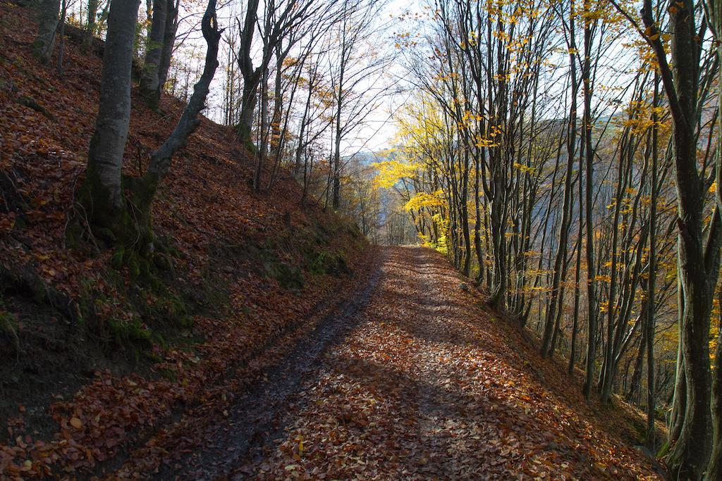 Kings Valley - Sunny Botesti Cîmpeni Esterno foto