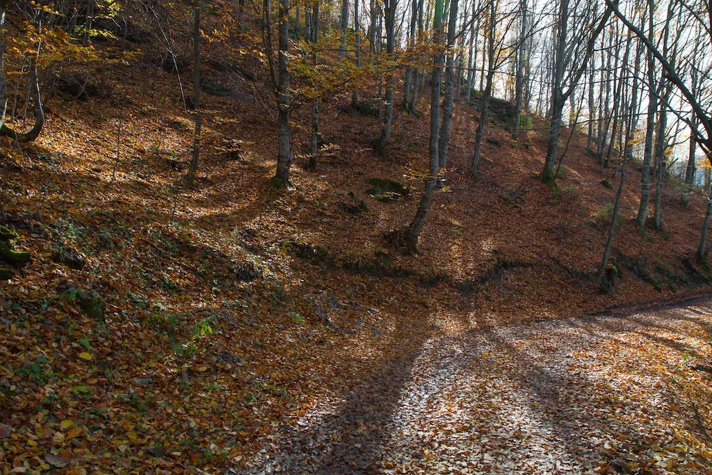 Kings Valley - Sunny Botesti Cîmpeni Esterno foto