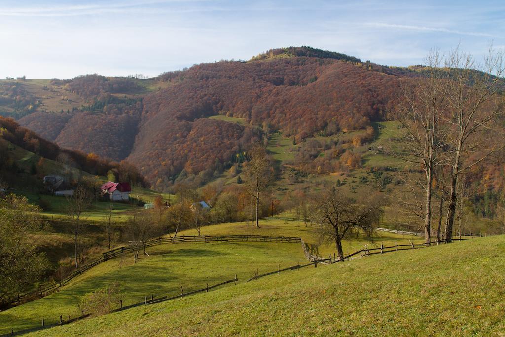 Kings Valley - Sunny Botesti Cîmpeni Esterno foto