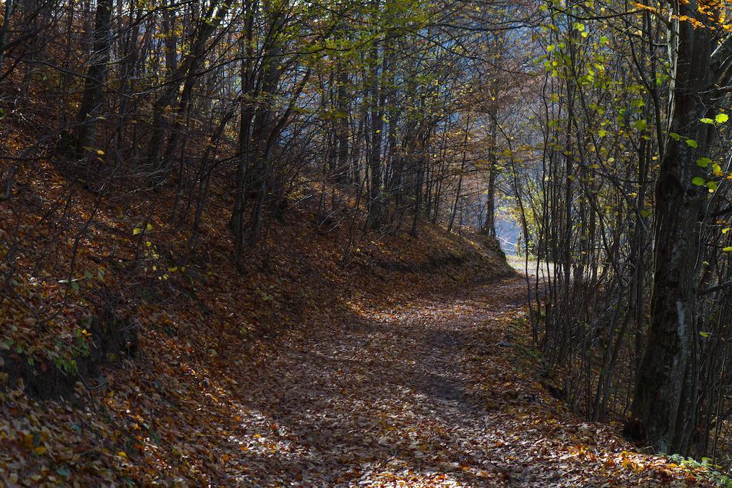Kings Valley - Sunny Botesti Cîmpeni Esterno foto