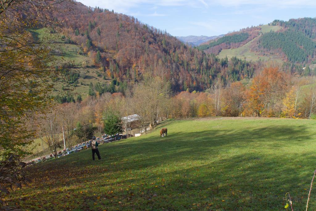 Kings Valley - Sunny Botesti Cîmpeni Esterno foto