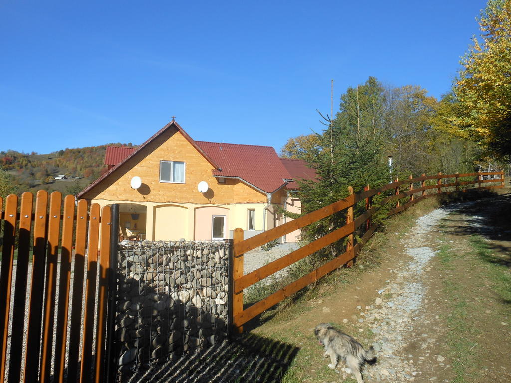 Kings Valley - Sunny Botesti Cîmpeni Esterno foto