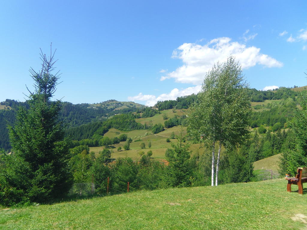 Kings Valley - Sunny Botesti Cîmpeni Esterno foto
