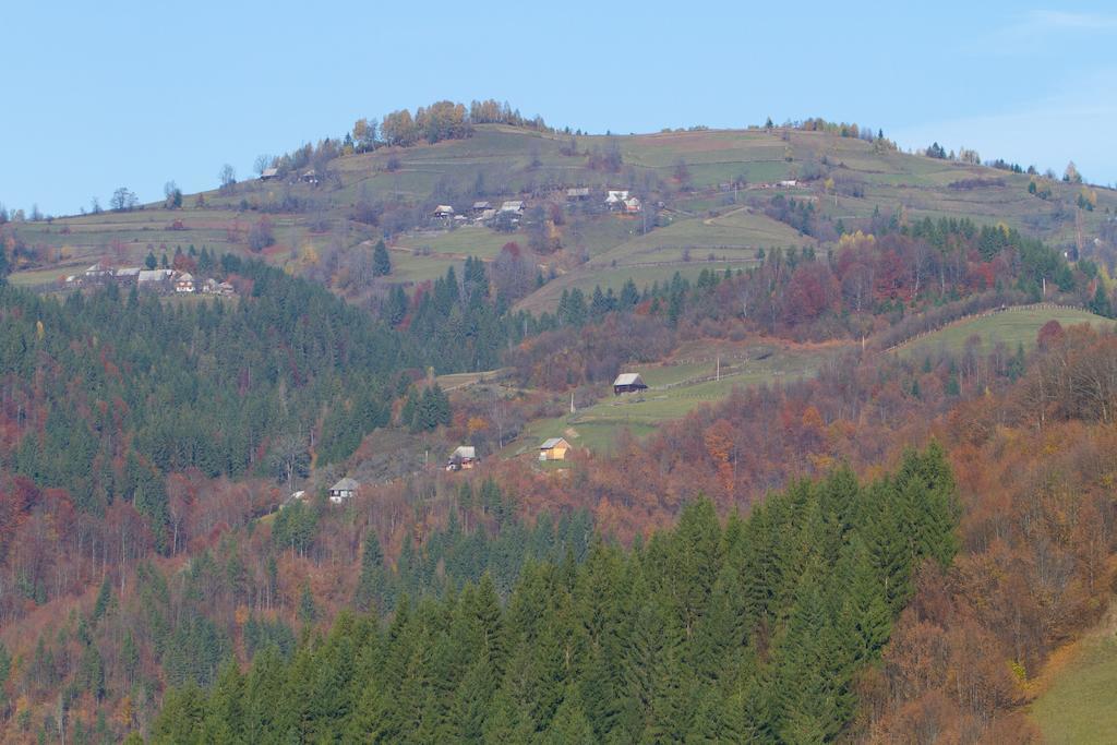 Kings Valley - Sunny Botesti Cîmpeni Esterno foto